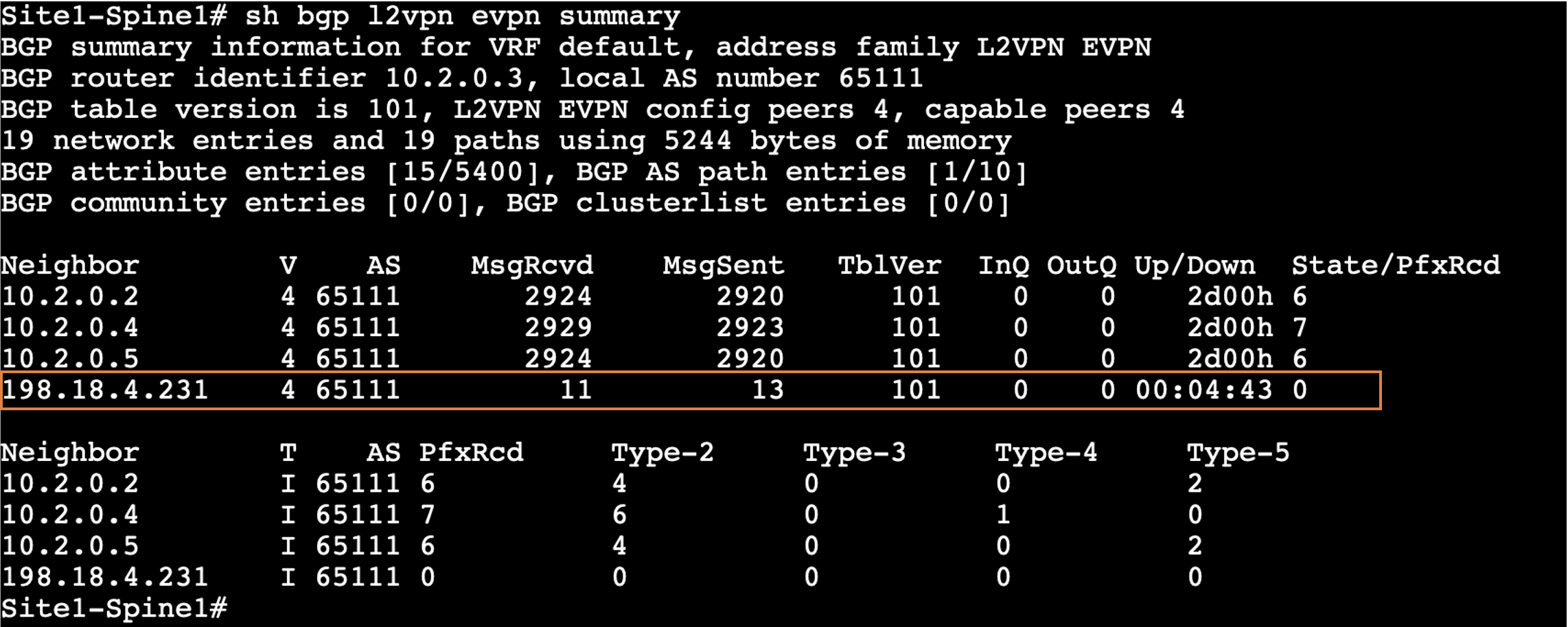 Verify BGP Summary