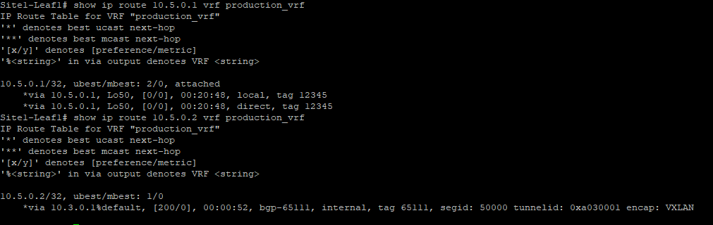 New Output